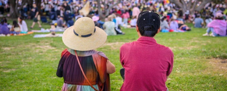 Two people sitting on the grass with a crowd at an outdoor concert